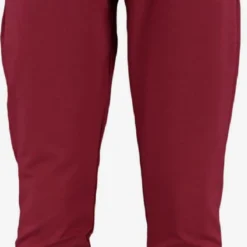 Trendyol Pantalons Tapered Broek Heren Bordeaux