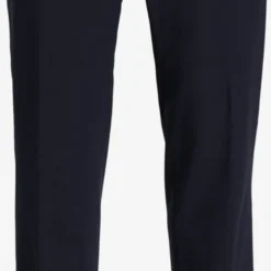 Bertoni Pantalons Slimfit Broek Ravn Heren Blauw