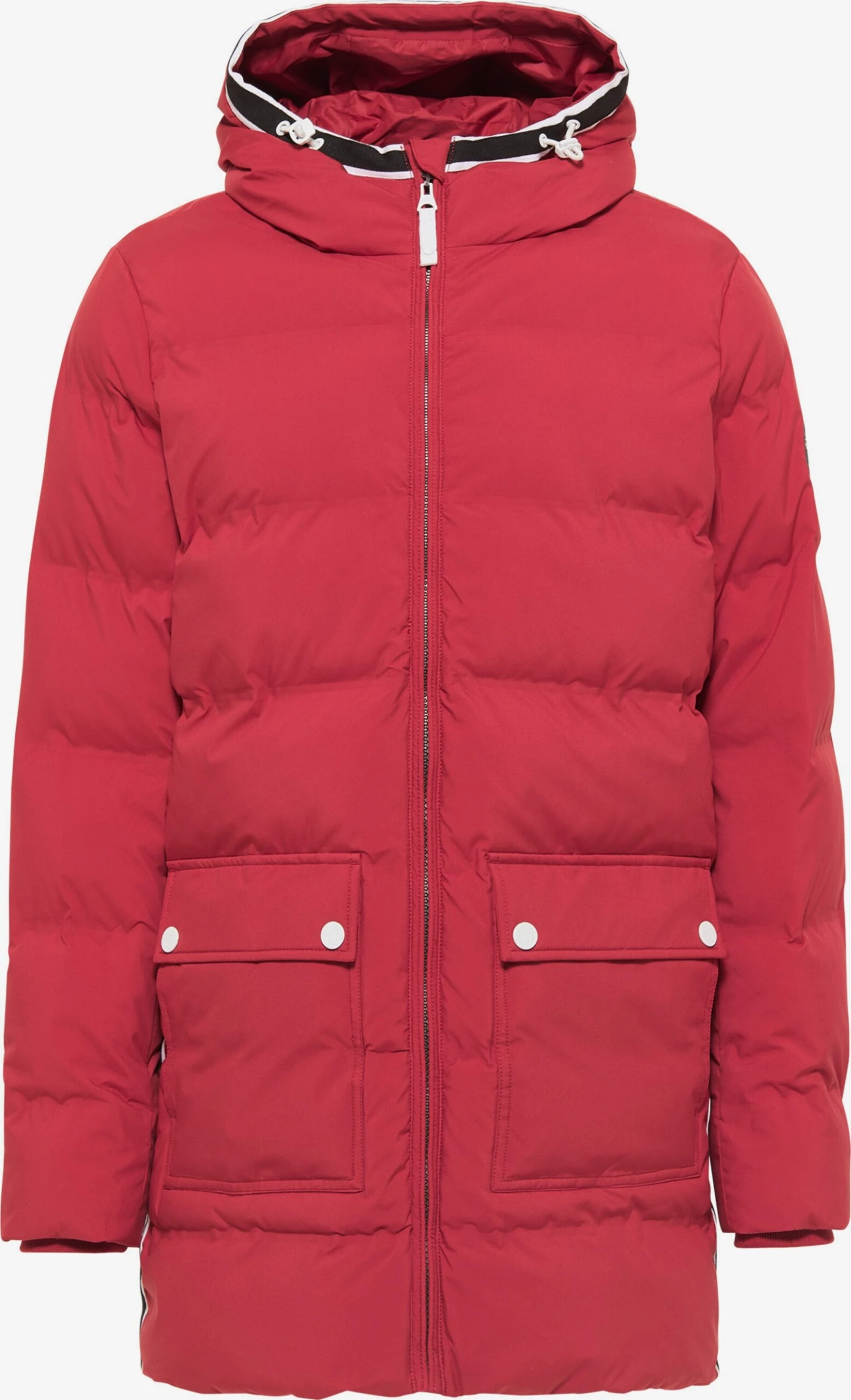 Parkas Winterparka Heren Grenadine 1 Parkas Winterparka Heren Grenadine
