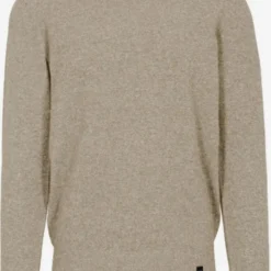 Crewneck Truien Trui Heren Greige