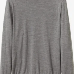 Coltruien Trui Willym Heren Grijs Gemêleerd