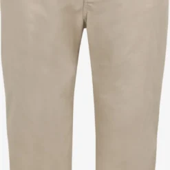 Pantalons Regular Broek Heren Beige