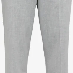 Bertoni Pantalons Loosefit Broek Snoore Heren Lichtgrijs