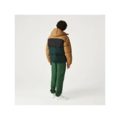 Lacoste Winterjassen Winterjas Heren Gemengde Kleuren -Jack & Jones Verkoop 42c2e9e2bf558b81885223a812471831