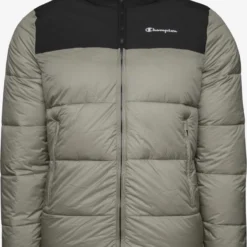 Winterjassen Winterjas Heren Aardetinten