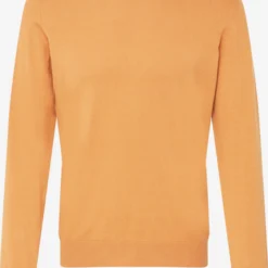 Crewneck Truien Trui Heren Camel