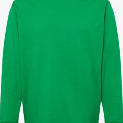 G-Star Raw Longsleeves Shirt Heren Grasgroen