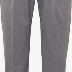 DRYKORN Pantalons Regular Bandplooibroek LEEK Heren Grijs Gemêleerd