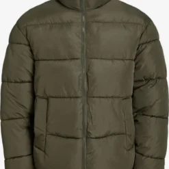 Jack & Jones Winterjassen Winterjas Heren Groen
