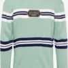 BDG Urban Outfitters Crewneck Truien Trui Heren Mintgroen