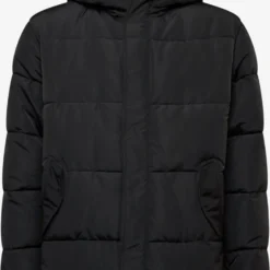 Winterjassen Winterjas Albert Heren Zwart