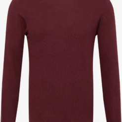 ESPRIT Coltruien Trui Heren Bordeaux