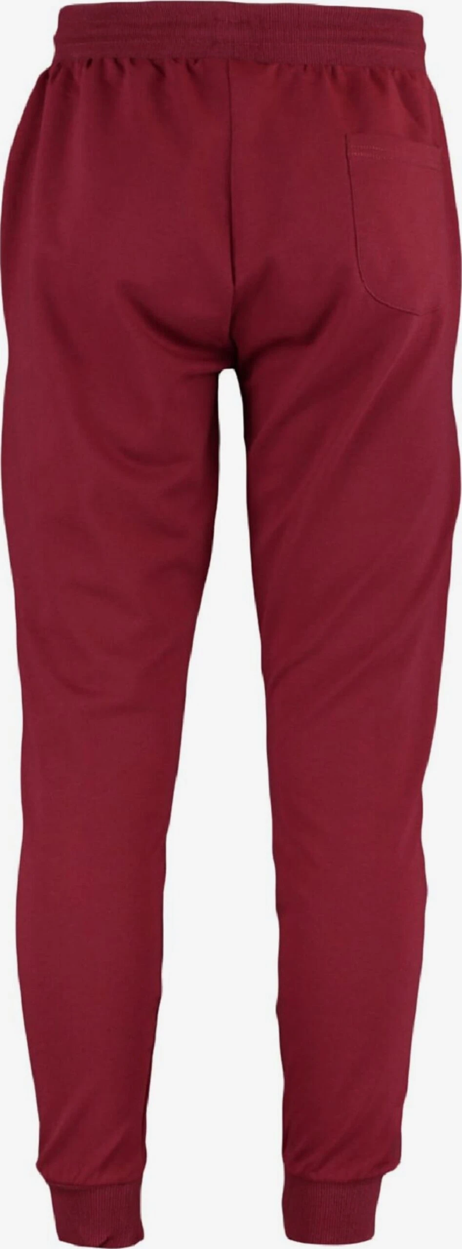 Trendyol Pantalons Tapered Broek Heren Bordeaux 2 Trendyol Pantalons Tapered Broek Heren Bordeaux - Afbeelding 2