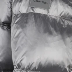 Winterjassen Winterjas Heren Zilvergrijs -Jack & Jones Verkoop e6734db1de520da1c99a841d9f8c5b7e scaled