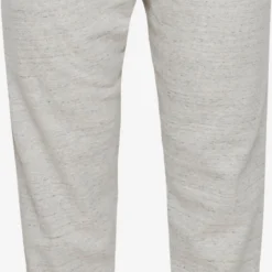 Pantalons Tapered Broek Heren Grijs